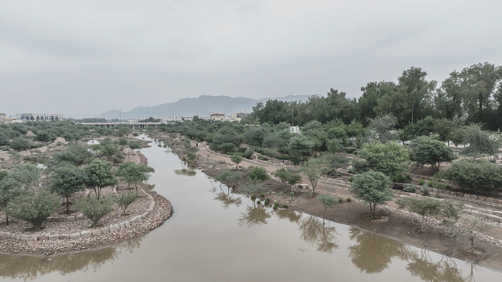 Plan reading · the wadi as a civic room.
